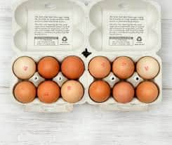 A small picture of Medium Free Range Eggs