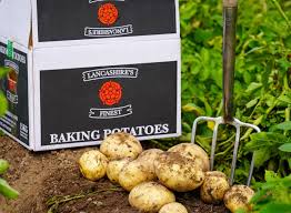 A picture of Fresh Jacket Potatoes 40's 