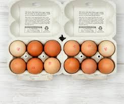 A picture of Medium Free Range Eggs